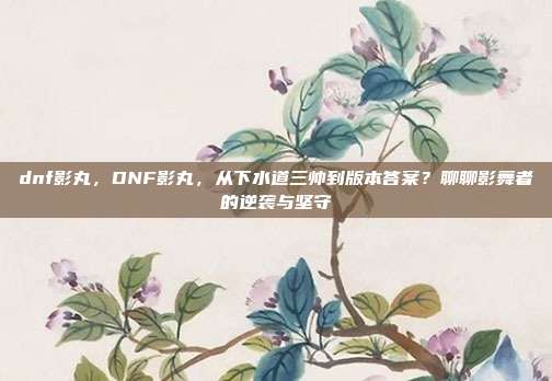 dnf影丸,DNF影丸,从下水道三帅到版本答案?聊聊影舞者的逆袭与坚守