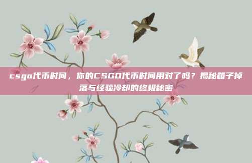 csgo代币时间，你的CSGO代币时间用对了吗？揭秘箱子掉落与经验冷却的终极秘密