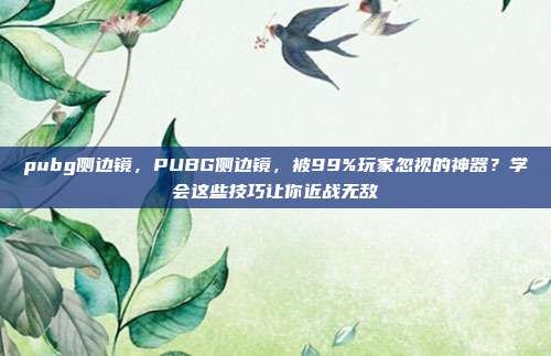 pubg侧边镜,PUBG侧边镜,被99%玩家忽视的神器?学会这些技巧让你近战无敌