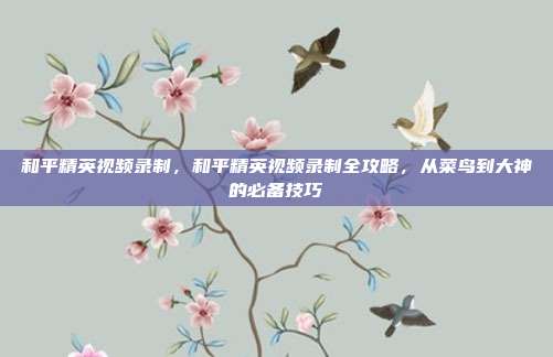和平精英视频录制，和平精英视频录制全攻略，从菜鸟到大神的必备技巧