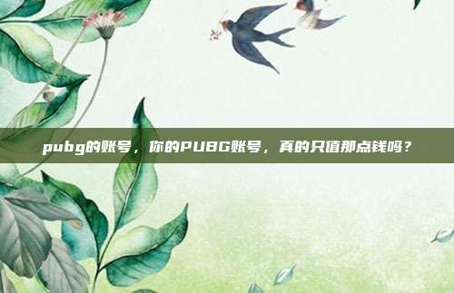 pubg的账号,你的PUBG账号,真的只值那点钱吗?