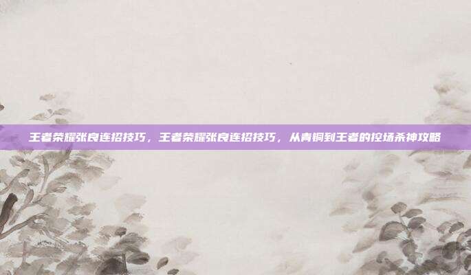 王者荣耀张良连招技巧,王者荣耀张良连招技巧,从青铜到王者的控场杀神攻略