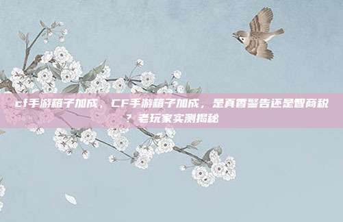 cf手游箱子加成,CF手游箱子加成,是真香警告还是智商税?老玩家实测揭秘