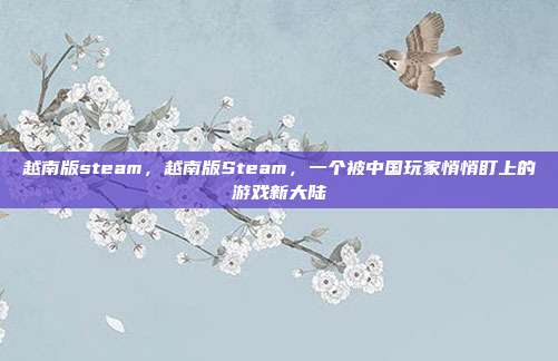 越南版steam，越南版Steam，一个被中国玩家悄悄盯上的游戏新大陆