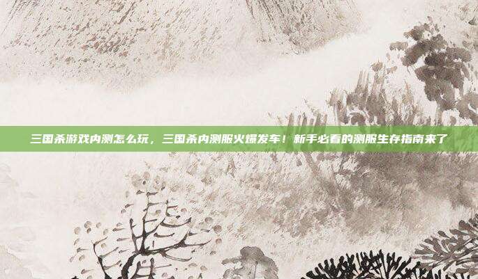 三国杀游戏内测怎么玩，三国杀内测服火爆发车！新手必看的测服生存指南来了