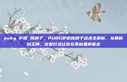 pubg 萨诺 跳房子，PUBG萨诺跳房子战术全解析，从萌新到王牌，这套打法让你在雨林里横着走