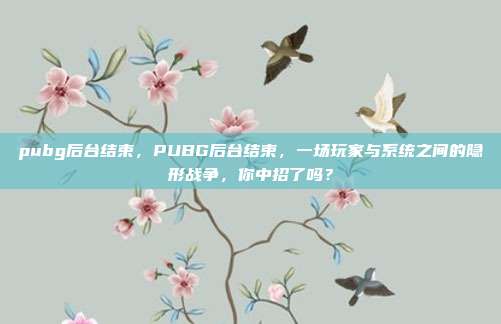 pubg后台结束,PUBG后台结束,一场玩家与系统之间的隐形战争,你中招了吗?
