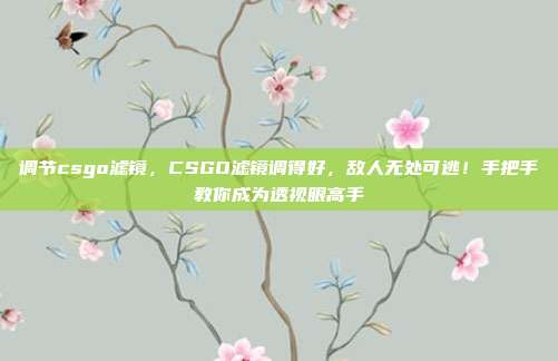 调节csgo滤镜，CSGO滤镜调得好，敌人无处可逃！手把手教你成为透视眼高手