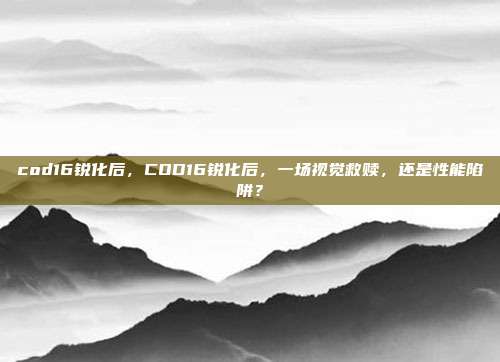 cod16锐化后，COD16锐化后，一场视觉救赎，还是性能陷阱？