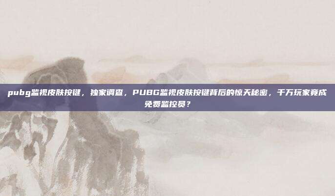 pubg监视皮肤按键，独家调查，PUBG监视皮肤按键背后的惊天秘密，千万玩家竟成免费监控员？