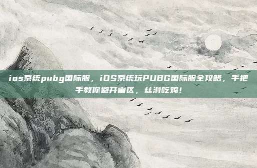 ios系统pubg国际服，iOS系统玩PUBG国际服全攻略，手把手教你避开雷区，丝滑吃鸡！
