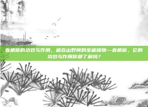 春根藤的功效与作用，藏在山野间的宝藏植物—春根藤，它的功效与作用你都了解吗？
