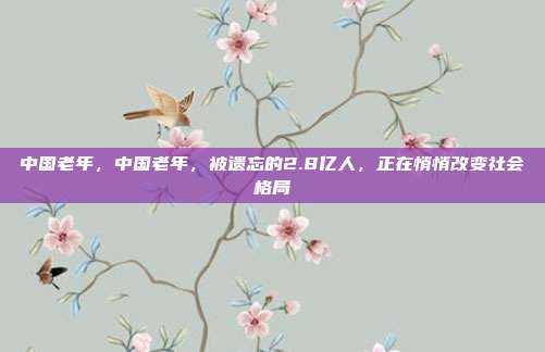 中国老年，中国老年，被遗忘的2.8亿人，正在悄悄改变社会格局