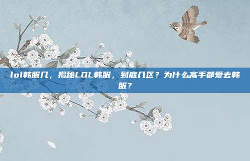 lol韩服几，揭秘LOL韩服，到底几区？为什么高手都爱去韩服？