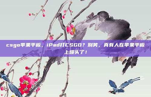 csgo苹果平板，iPad打CSGO？别笑，真有人在苹果平板上爆头了！