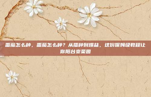 番茄怎么种，番茄怎么种？从播种到爆盆，这份保姆级教程让你阳台变菜园