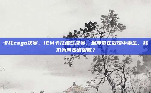 卡托csgo决赛，IEM卡托维兹决赛，当传奇在烈焰中重生，我们为何热泪盈眶？