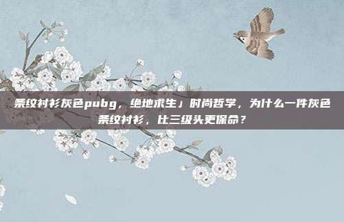 条纹衬衫灰色pubg，绝地求生」时尚哲学，为什么一件灰色条纹衬衫，比三级头更保命？