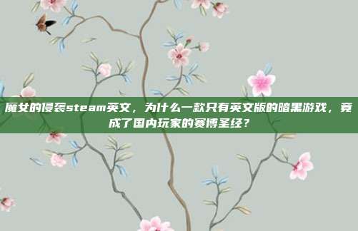 魔女的侵袭steam英文，为什么一款只有英文版的暗黑游戏，竟成了国内玩家的赛博圣经？