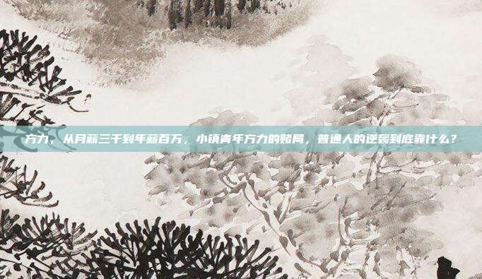 方力，从月薪三千到年薪百万，小镇青年方力的赌局，普通人的逆袭到底靠什么？