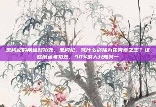 黑枸杞的用途和功效，黑枸杞，凭什么被称为花青素之王？这些用途与功效，90%的人只知其一