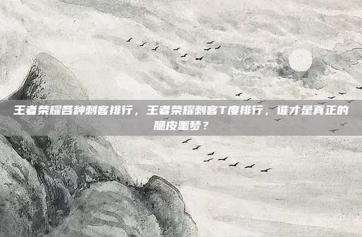王者荣耀各种刺客排行，王者荣耀刺客T度排行，谁才是真正的脆皮噩梦？