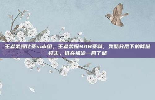 王者荣耀比赛sab组，王者荣耀SAB赛制，残酷分层下的降维打击，谁在裸泳一目了然