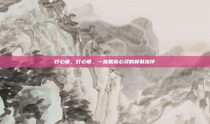 灯心草，灯心草，一株照亮心灵的静默旅伴