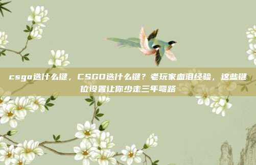 csgo选什么键，CSGO选什么键？老玩家血泪经验，这些键位设置让你少走三年弯路