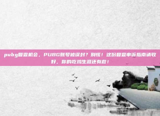 pubg复查机会，PUBG账号被误封？别慌！这份复查申诉指南请收好，你的吃鸡生涯还有救！