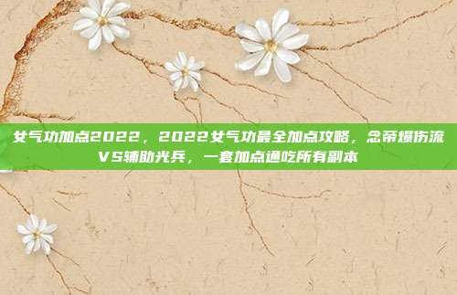 女气功加点2022，2022女气功最全加点攻略，念帝爆伤流VS辅助光兵，一套加点通吃所有副本