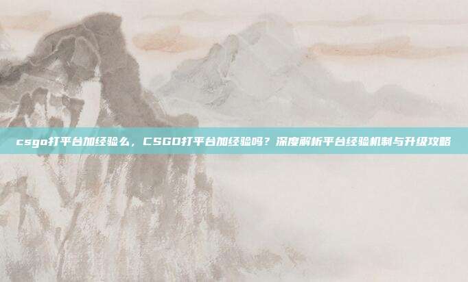 csgo打平台加经验么，CSGO打平台加经验吗？深度解析平台经验机制与升级攻略