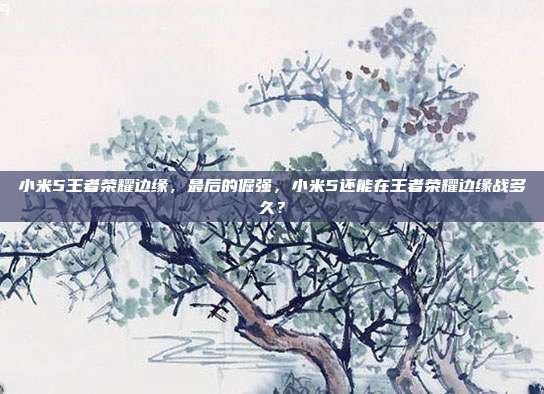 小米5王者荣耀边缘，最后的倔强，小米5还能在王者荣耀边缘战多久？