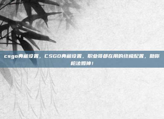 csgo典藏设置，CSGO典藏设置，职业哥都在用的终极配置，助你枪法如神！
