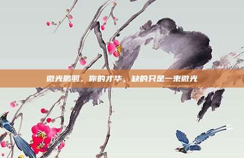 微光鹏羽，你的才华，缺的只是一束微光