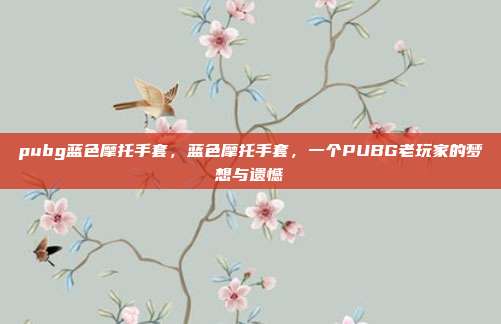 pubg蓝色摩托手套，蓝色摩托手套，一个PUBG老玩家的梦想与遗憾