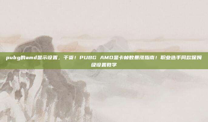pubg的amd显示设置，干货！PUBG AMD显卡帧数暴涨指南！职业选手同款保姆级设置教学