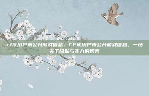 cf该用户未公开游戏信息，CF该用户未公开游戏信息，一场关于隐私与实力的博弈