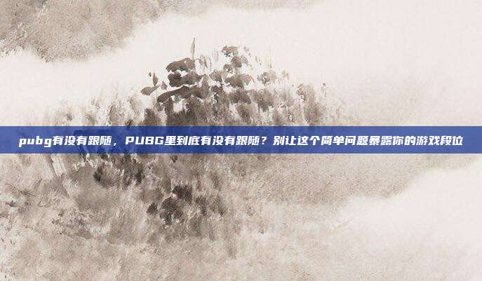 pubg有没有跟随，PUBG里到底有没有跟随？别让这个简单问题暴露你的游戏段位