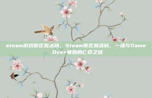 steam游戏俄区激活码，Steam俄区激活码，一场与Game Over赛跑的亡命之徒