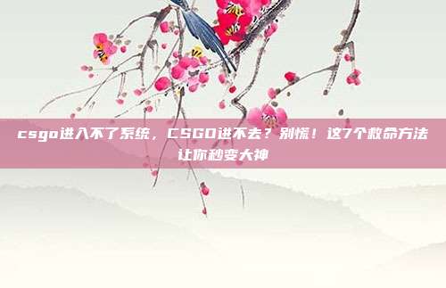 csgo进入不了系统，CSGO进不去？别慌！这7个救命方法让你秒变大神