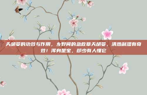 天胡荽的功效与作用，乡野间的急救草天胡荽，清热利湿有奇效！浑身是宝，却少有人懂它