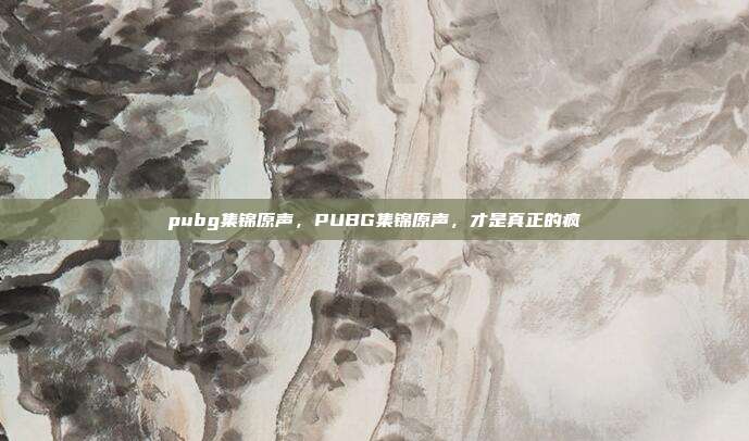 pubg集锦原声，PUBG集锦原声，才是真正的疯
