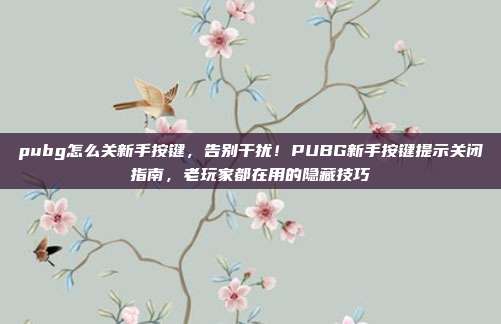 pubg怎么关新手按键，告别干扰！PUBG新手按键提示关闭指南，老玩家都在用的隐藏技巧