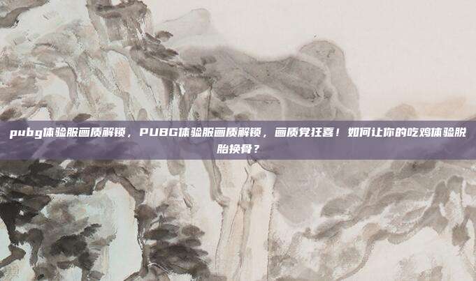 pubg体验服画质解锁，PUBG体验服画质解锁，画质党狂喜！如何让你的吃鸡体验脱胎换骨？