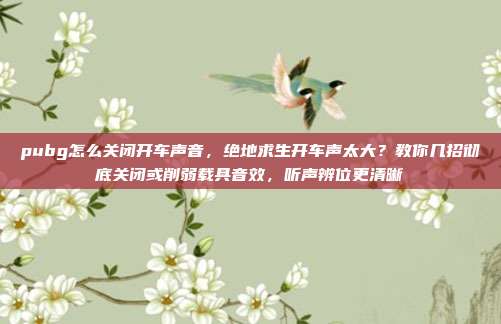 pubg怎么关闭开车声音，绝地求生开车声太大？教你几招彻底关闭或削弱载具音效，听声辨位更清晰