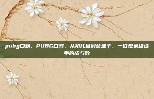 pubg白刺，PUBG白刺，从初代目到意难平，一位现象级选手的成与败