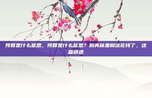 预算是什么意思，预算是什么意思？别再稀里糊涂花钱了，这篇讲透