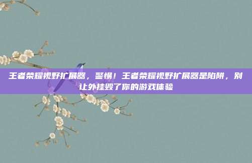 王者荣耀视野扩展器，警惕！王者荣耀视野扩展器是陷阱，别让外挂毁了你的游戏体验