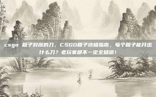 csgo 箱子对应的刀，CSGO箱子终极指南，每个箱子能开出什么刀？老玩家都不一定全知道！